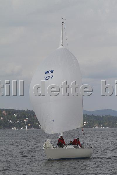 Bundefjorden2012 259.jpg